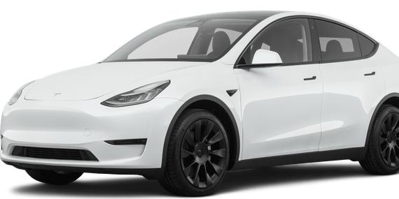 TESLA MODEL Y 2021 5YJYGDEE5MF196504 image